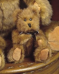 Picture of Bearington Bear - Tiny Brad