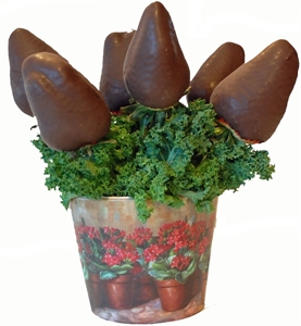 Picture of Chocolate Covered Strawberry Bouquet - Minis