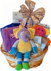 Picture of Welcome Baby Gift Basket