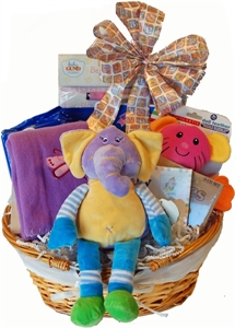 Picture of Welcome Baby Gift Basket