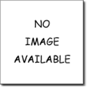 Picture of Cabbage Roll Soup